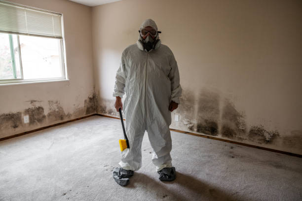 Best Certified Mold Removal  in Secy, AR
